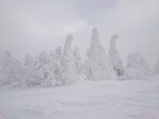 Zao Onsen Ski Resort by null