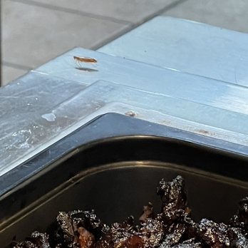 Golden Corral Buffet & Grill - Roach near food - American Near Me - Fort Worth, Texas