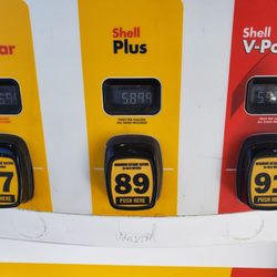Truckee Shell