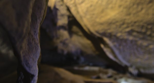 Boyden Cavern Adventures & Tours LLC. by null