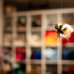 House Mountain Yarn - Needle felting classes and supplies.