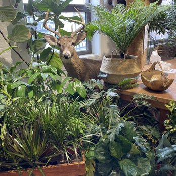 Seed To Stem - Antiques Near Me - Worcester, Massachusetts