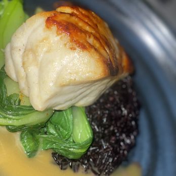 Cut 432 - Chilean Sea Bass - Steakhouses Near Me - Delray Beach, Florida Cut 432 - Chilean Sea Bass - Steakhouses Near Me - Delray Beach, Florida