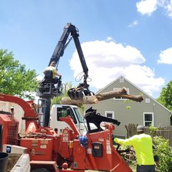Jeff's Tree Service