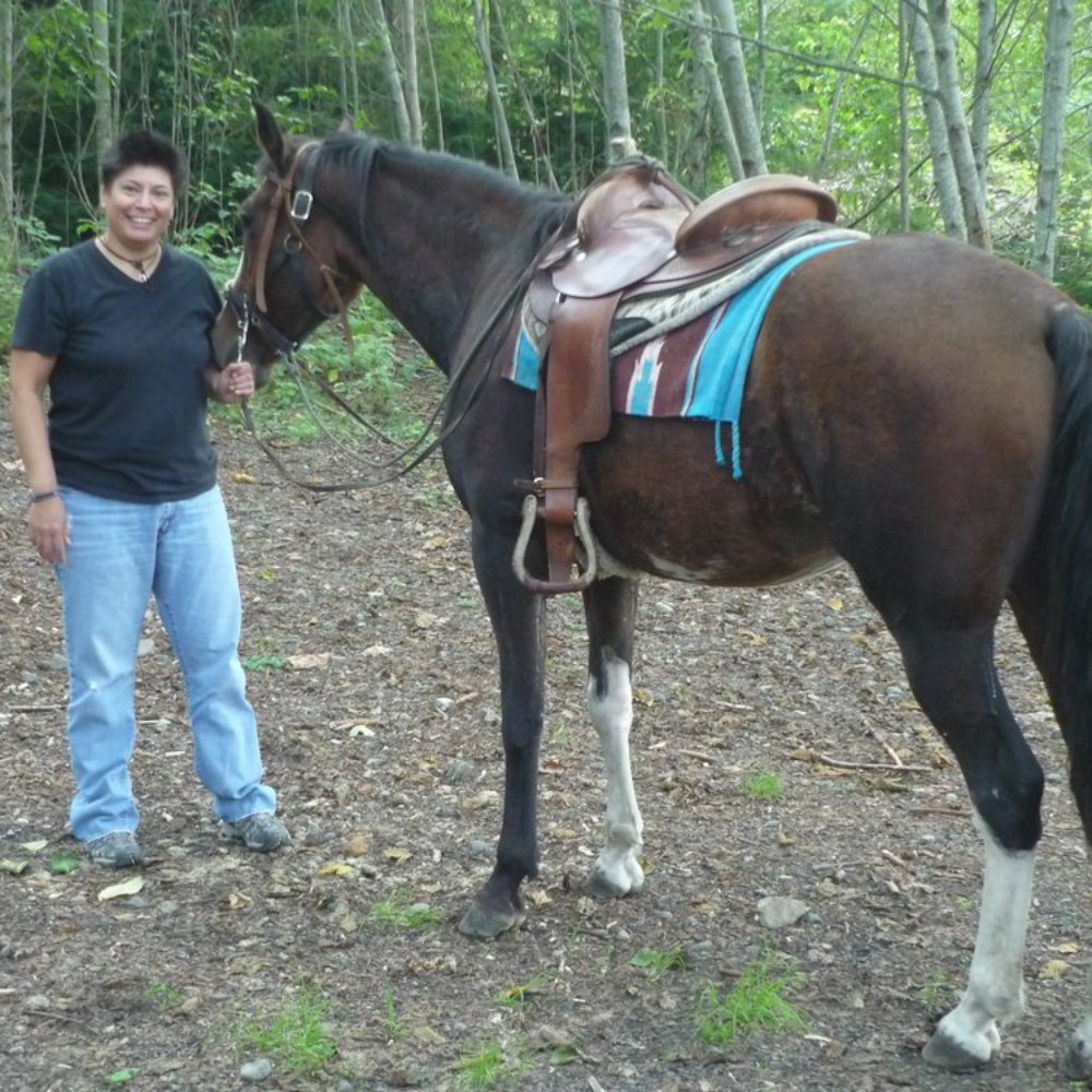 The Stillwater Ranch - Chris and Comet - She's a Tennessee Walker - Rafting/Kayaking Near Me The Stillwater Ranch - Chris and Comet - She's a Tennessee Walker - Rafting/Kayaking Near Me
