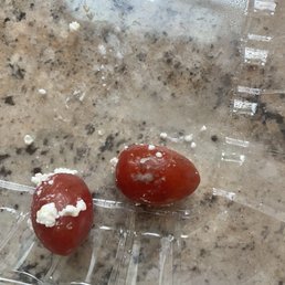 Moldy tomatoes Moldy tomatoes