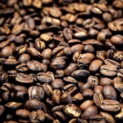 Bean Coffee Roasters Truck - Freshly micro-roasted beans