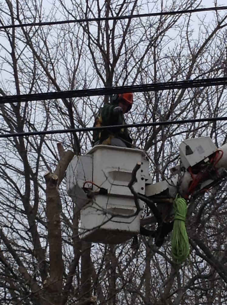 TESSIER’S LANDSCAPING Updated September 2024 125 Massachusetts Ave