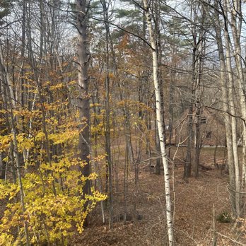 Conway Scenic Railroad - Pretty late fall view - Tours Near Me - North Conway, New Hampshire Conway Scenic Railroad - Pretty late fall view - Tours Near Me - North Conway, New Hampshire
