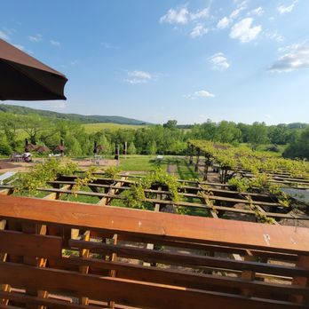 Chrysalis Vineyards - Wine Tasting Room Near Me - Middleburg, Virginia Chrysalis Vineyards - Wine Tasting Room Near Me - Middleburg, Virginia