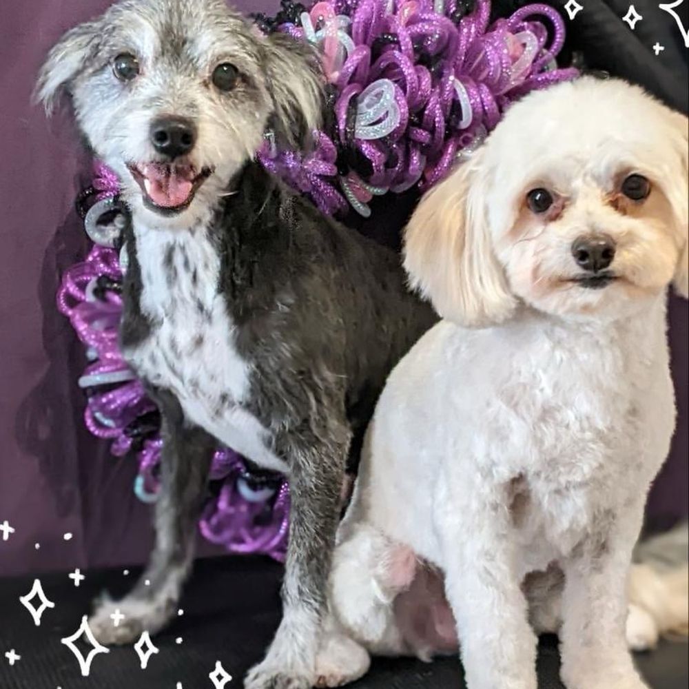 Post groom appt! Post groom appt!