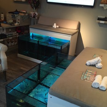 Fish Therapy - Clean place , loved the interior - Day Spas Near Me - San José del Cabo, BCS Fish Therapy - Clean place , loved the interior - Day Spas Near Me - San José del Cabo, BCS