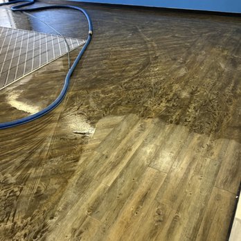Happy Hippo Floor Care - Wow! - Carpet Cleaning Near Me - Buena Park, California Happy Hippo Floor Care - Wow! - Carpet Cleaning Near Me - Buena Park, California