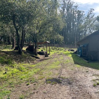 Tilden Regional Park Little Farm - Parks Near Me - Berkeley, California Tilden Regional Park Little Farm - Parks Near Me - Berkeley, California