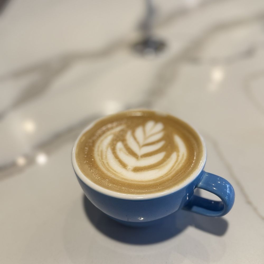 Freya Bakery & Cafe - Bakeries Near Me - Seattle, Washington Freya Bakery & Cafe - Bakeries Near Me - Seattle, Washington