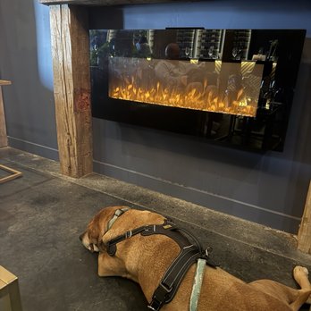 Ella’s Vineyard - Our pup enjoying space and comfort in the tasting room. - Wine Tasting Room Near Me - Paso Robles, California Ella’s Vineyard - Our pup enjoying space and comfort in the tasting room. - Wine Tasting Room Near Me - Paso Robles, California