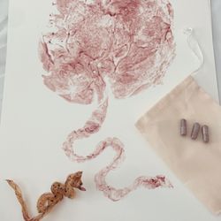 Transformative Birth Midwifery