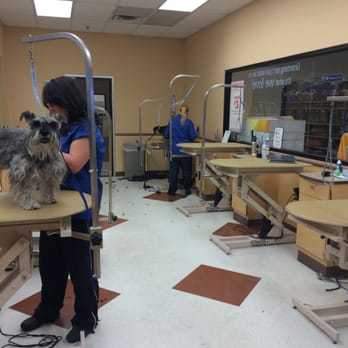 PetSmart - Pet Stores Near Me - Albuquerque, New Mexico