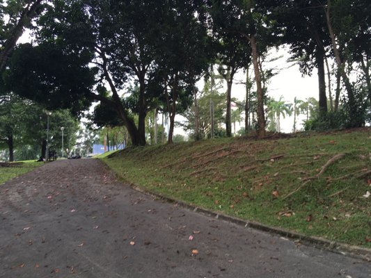 Mount Emily Park by null