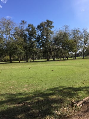 STEPHEN F AUSTIN GOLF COURSE Updated October 2025 1130 Park Rd 38