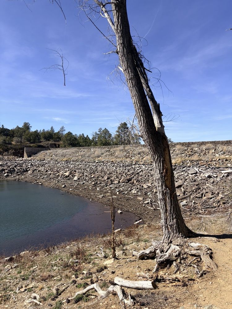 Lynx Lake Image
