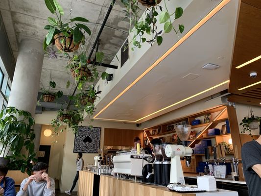 Nemesis Coffee Gastown by null