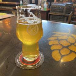 Dino Hop IPA