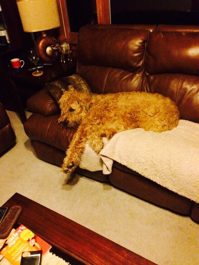 ADIRONDACK PET LODGE Updated September 2024 10 Reviews 5 Kaycee Loop Rd, Plattsburgh, New