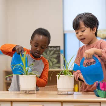 Carrington Academy - Child Care & Day Care Near Me - Braselton, Georgia
