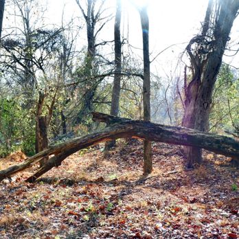 Patapsco State Park - Avalon Area - Parks Near Me - Halethorpe, Maryland