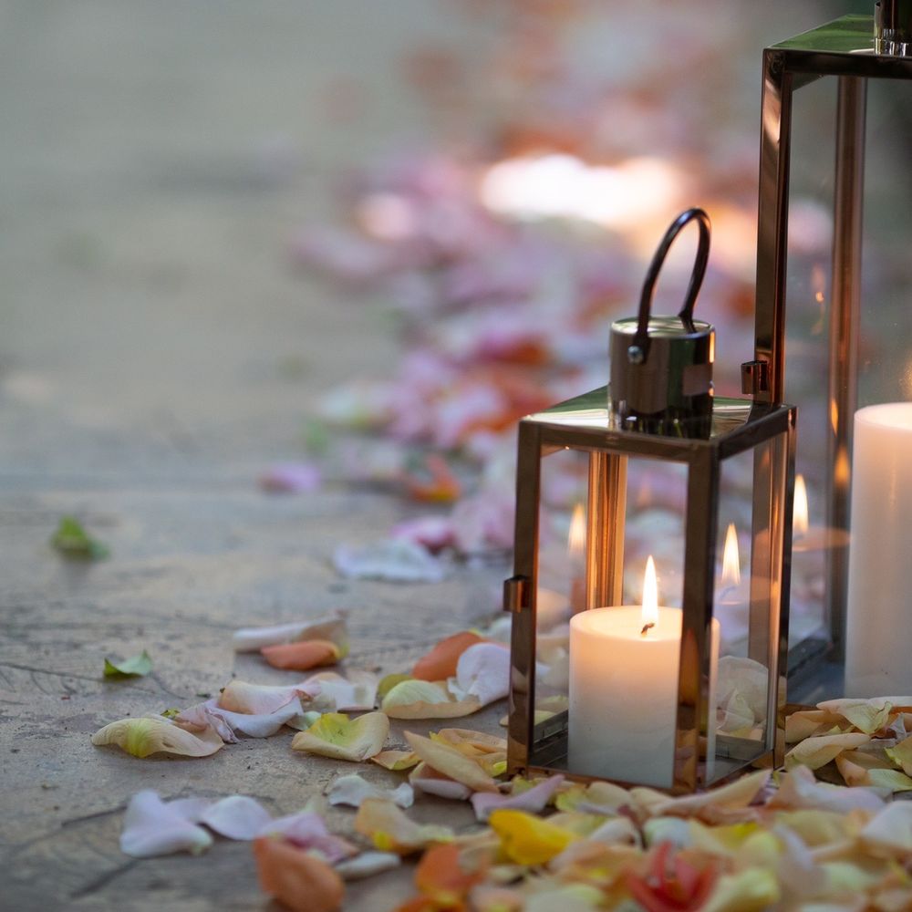 XO Bloom - Miracle #5 - Florists Near Me - Westlake Village, California
