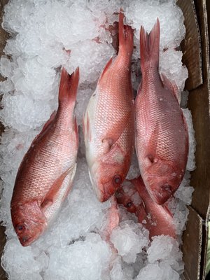 Green Produce and Seafood Market by null
