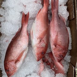 Green Fish Seafood Market