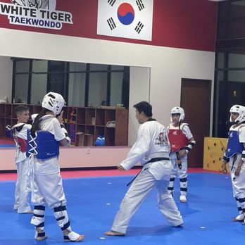 White Tiger Taekwondo - Empower Yourself: Sparring Day! - Martial Arts Near Me - Lewisville, Texas White Tiger Taekwondo - Empower Yourself: Sparring Day! - Martial Arts Near Me - Lewisville, Texas