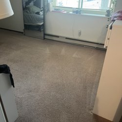 Steam Action Carpet Cleaning  & Restoration Specialists