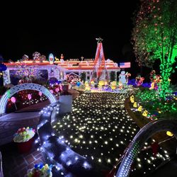 Palusso Family Light Show