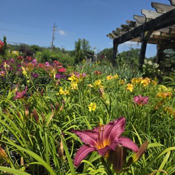 Maria Gardens Center - Nurseries & Gardening Near Me - North Royalton, Ohio Maria Gardens Center - Nurseries & Gardening Near Me - North Royalton, Ohio
