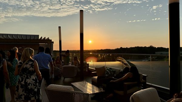 Overstory Rooftop Bar by null