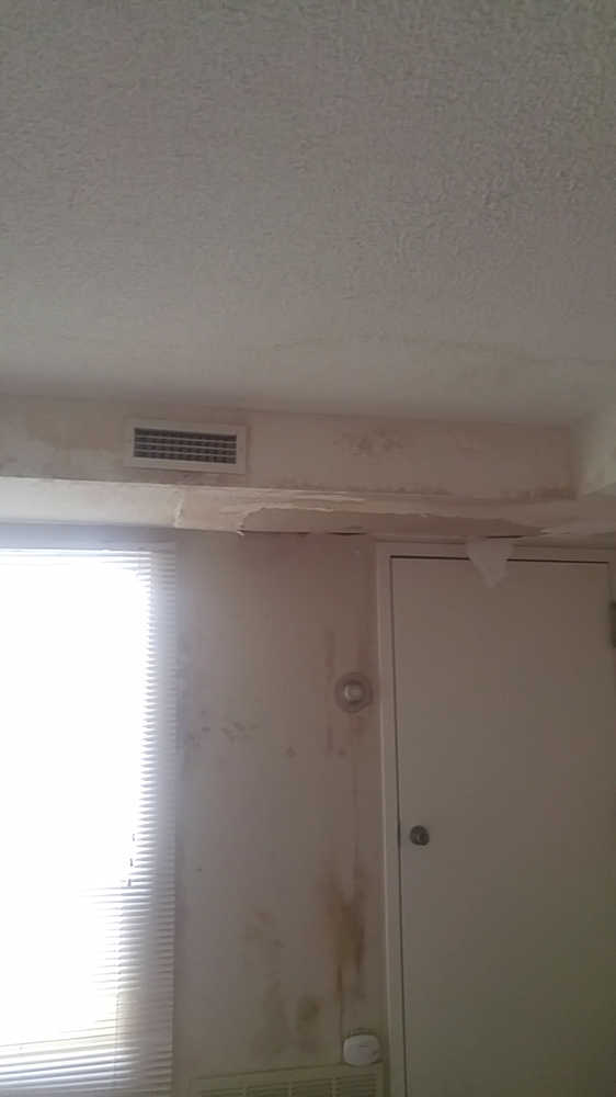 CASTLEWOOD APARTMENTS 17600 Detroit Ave, Lakewood, OH Yelp