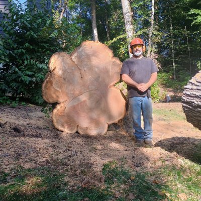 Tree Services - Whether you need a tree removed off of your yard from that last storm (we offer emergency 24 hour service just in case) or two cords of firewood to keep you warm, AR Tree Service can help.

We also specialize in tree pruning, and stump removal. Please feel free to contact us to discuss any questions you may have. And don't forget to check out the full list of our services!