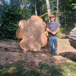 AR Tree Service