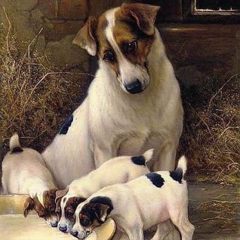 Bethany House of Paws - Here they love the animals left in their care! - Pet Training Near Me - Allen, Texas Bethany House of Paws - Here they love the animals left in their care! - Pet Training Near Me - Allen, Texas