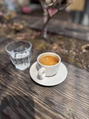 Equator Coffees by null