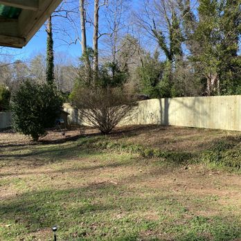 Lion Fence - Fences & Gates Near Me - Kennesaw, Georgia