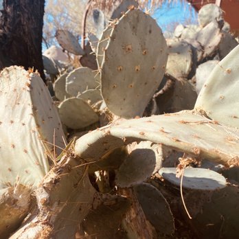 Keystone Heritage Park - Botanical Gardens Near Me - El Paso, Texas