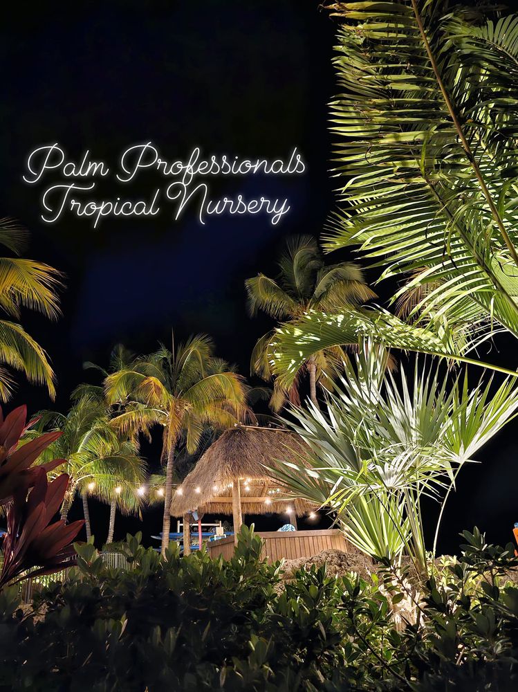 Palm Professionals Tropical Nursery - tree service in Sugar Land, TX