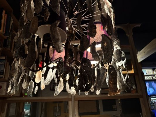 The Half Shell SSI by null