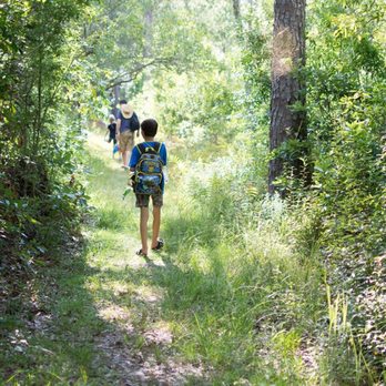 Big Thicket National Preserve - Hiking the trail to the pitcher plant boardwalk - Parks Near Me - Kountze, Texas