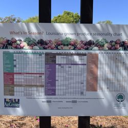 New Orleans Botanical Garden - What's in season