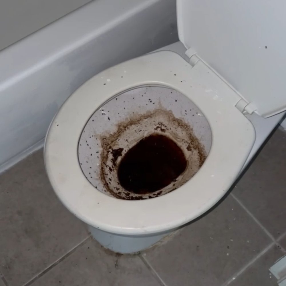 SEKA Moving - The condition of the toilet after they used it - Movers Near Me - Los Angeles, California SEKA Moving - The condition of the toilet after they used it - Movers Near Me - Los Angeles, California